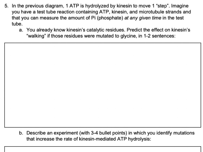 4. ATP hydrolysis is used in various scenarios. In | Chegg.com