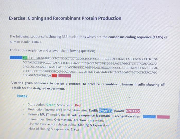 Solved Exercise: Cloning and Recombinant Protein Production | Chegg.com
