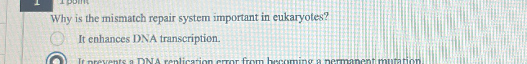 Solved Why is the mismatch repair system important in | Chegg.com
