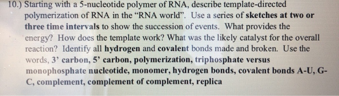 Solved 10.) Starting With A 5-nucleotide Polymer Of Rna, 