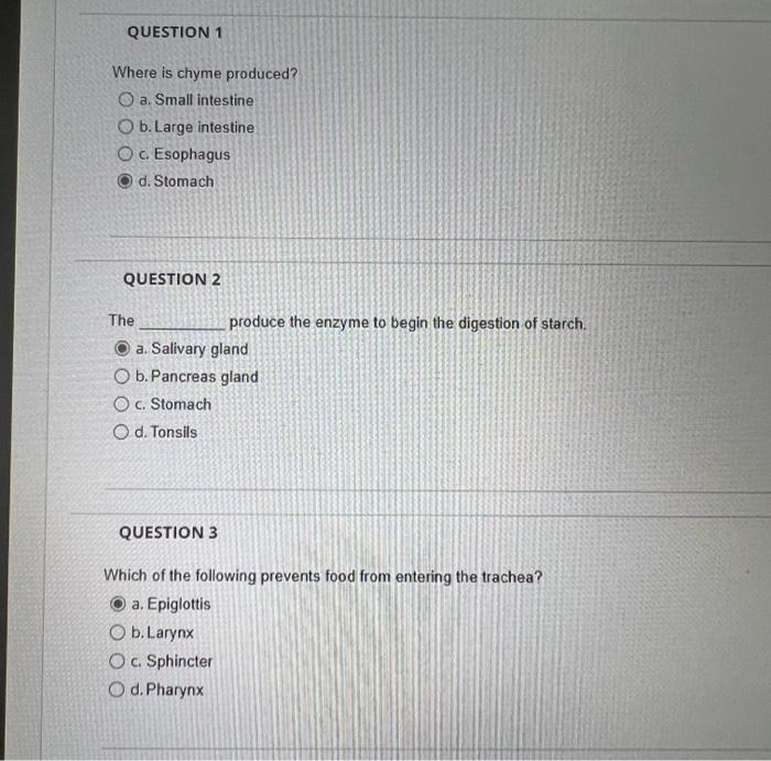 Solved QUESTION 1 Where is chyme produced? O a. Small | Chegg.com