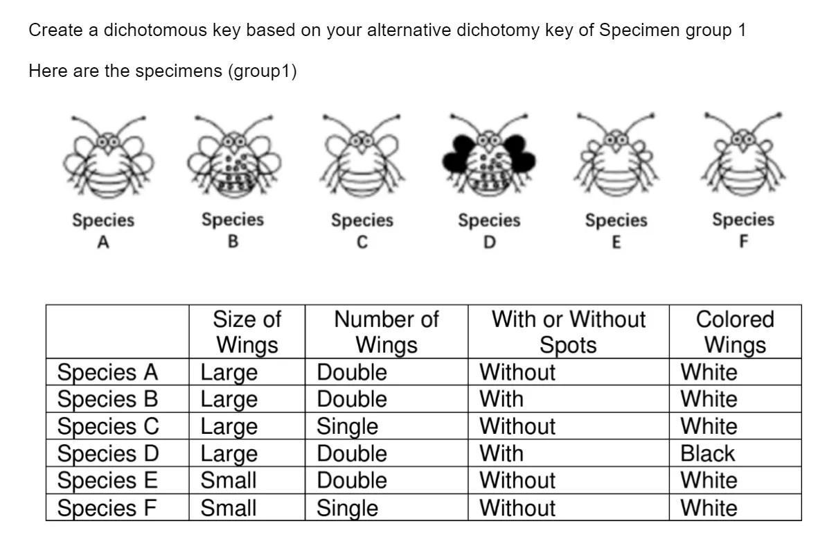 Solved Create a dichotomous key based on your alternative