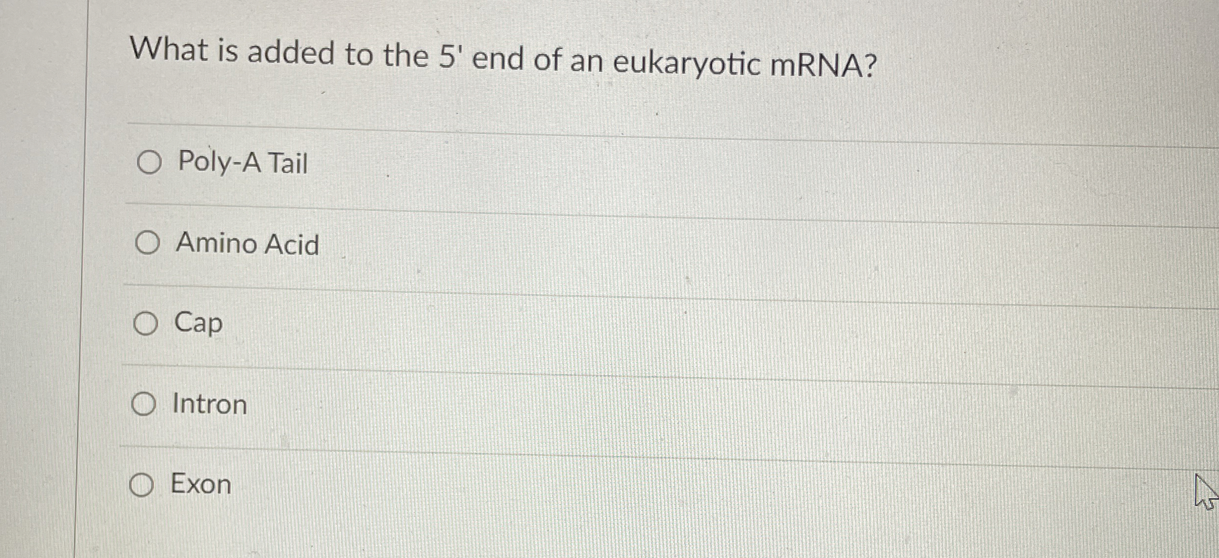 Solved What is added to the 5 ' ﻿end of an eukaryotic | Chegg.com