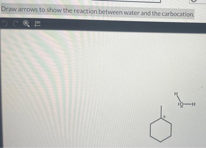 Draw arrows to show the reaction between water and the carbocation.