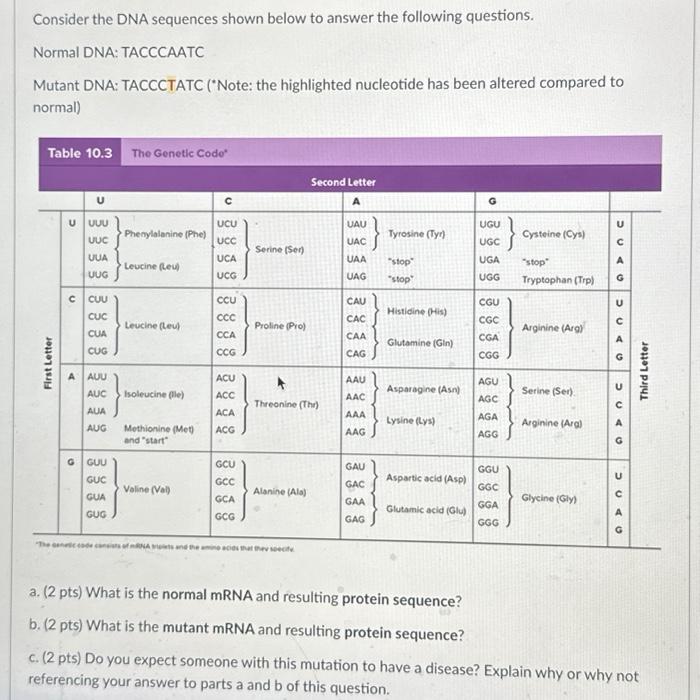 Solved Consider the DNA sequences shown below to answer the | Chegg.com