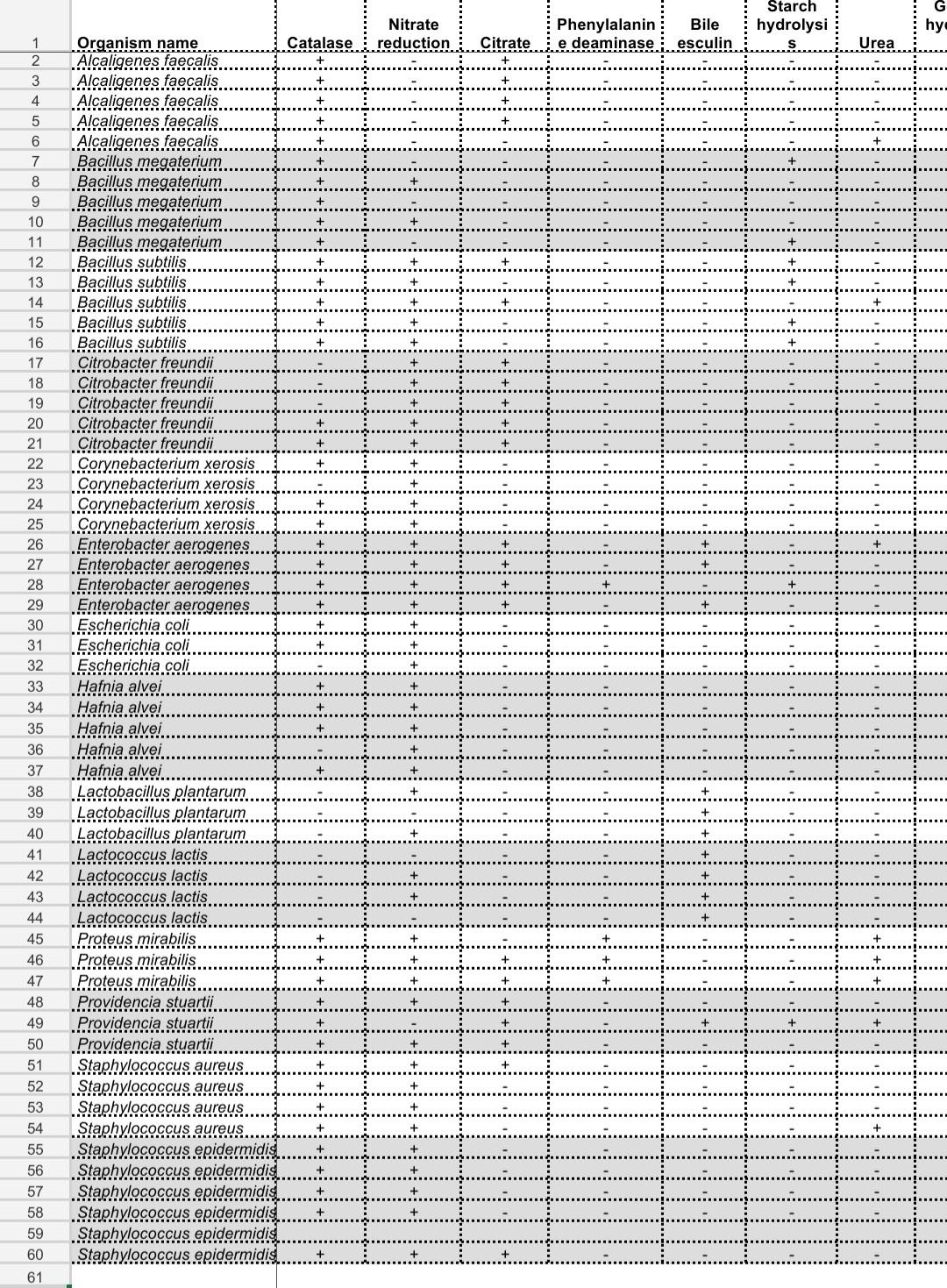 Solved Make a flow chart ( dichotomous key) for the Gram