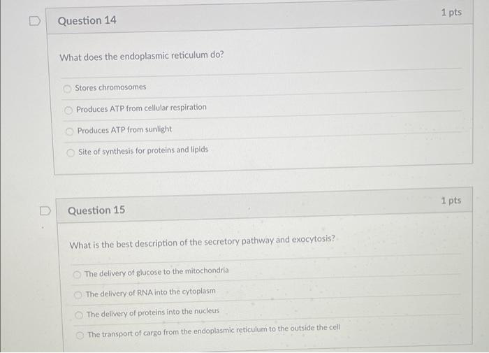 Solved D Question 11 1 pts Which of the following is an | Chegg.com