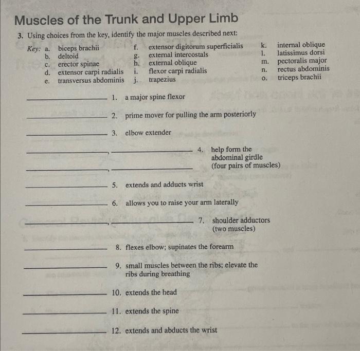 Solved Muscles of the Head and Neck 1. Using choices from | Chegg.com