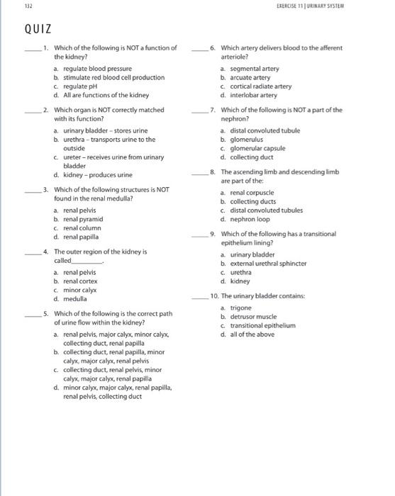 Solved 132 EXERCISE 11 | URINARY SYSTEM QUIZ 1. Which Of The | Chegg.com