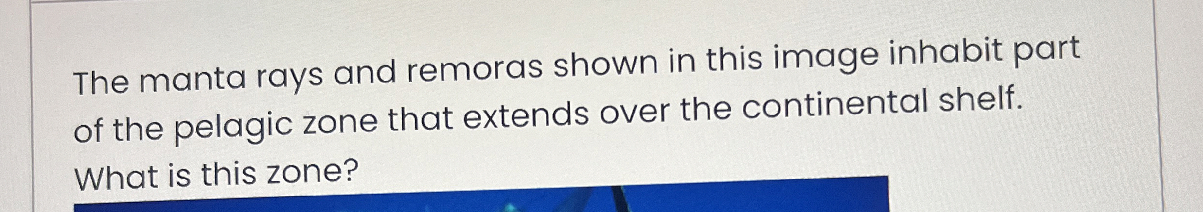 Solved The manta rays and remoras shown in this image | Chegg.com