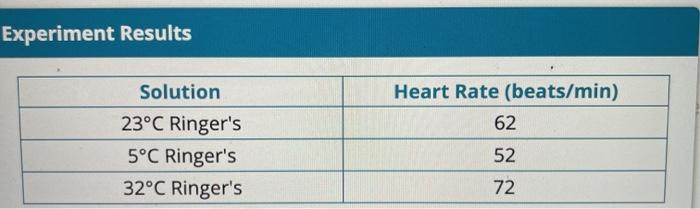 Experiment Results Heart Rate (beats/min) 62 Solution 23°C Ringers 5°C Ringers 32°C Ringers 52 72