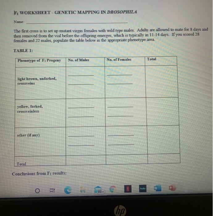 F1 WORKSHEET MAPPING IN DROSOPHILA Name