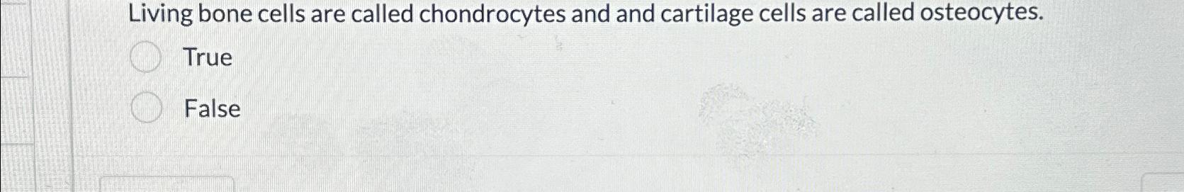 Solved Living bone cells are called chondrocytes and and | Chegg.com