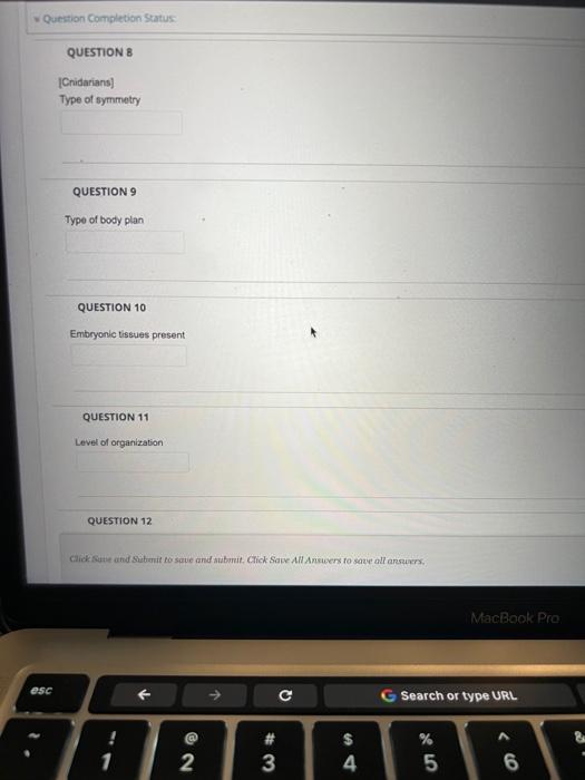 Solved Question Completion Status QUESTION 3 [Sponges)