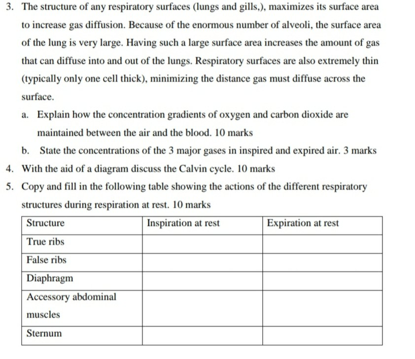 Solved Q. Based on the figure above (respiratory surface