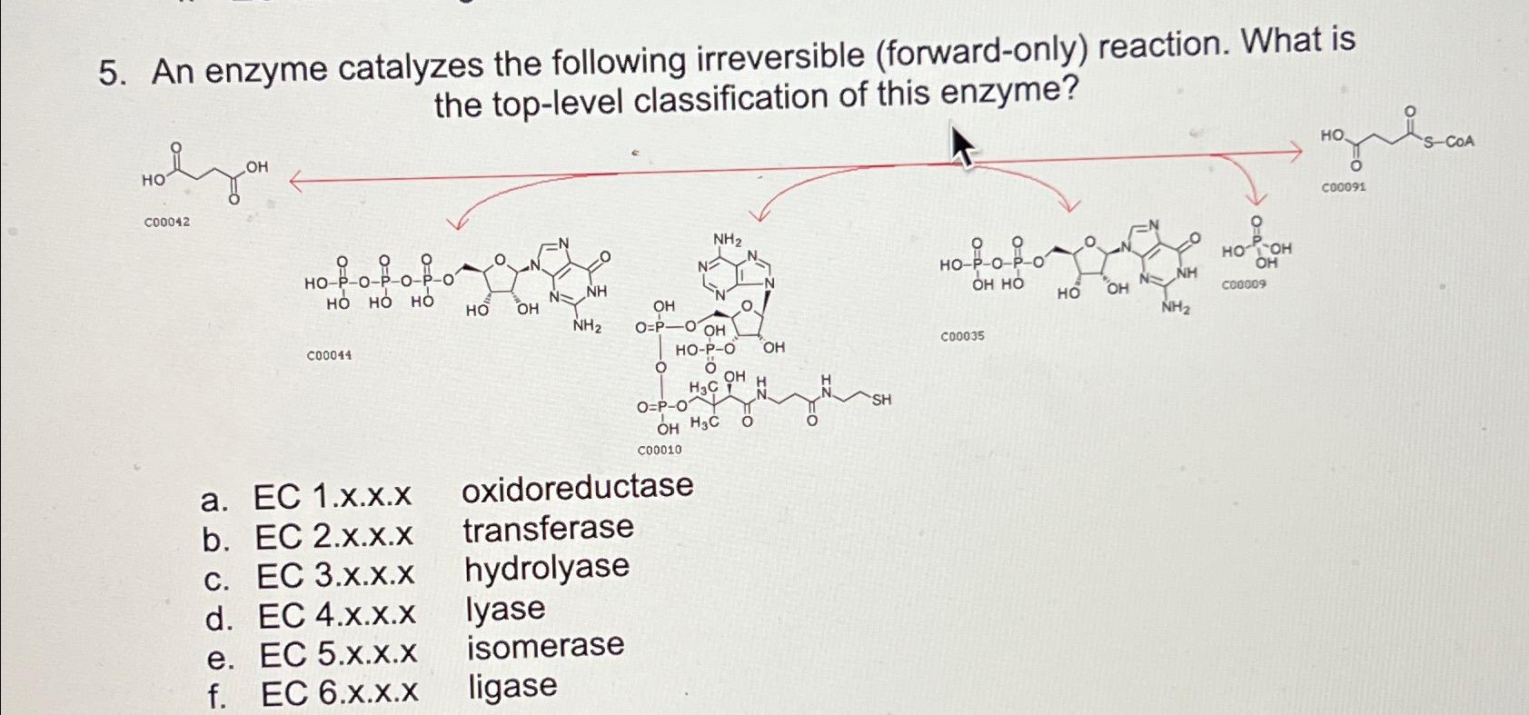 Solved An enzyme catalyzes the following irreversible | Chegg.com