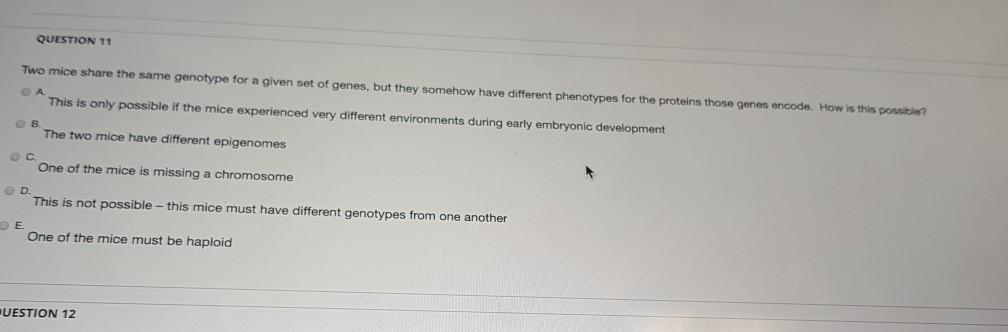 Solved QUESTION 11 Two mice share the same genotype for a | Chegg.com