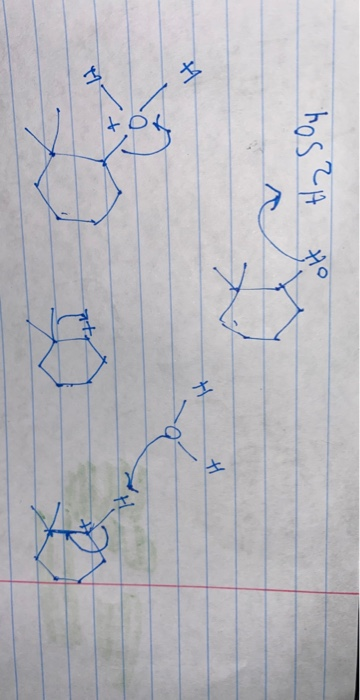 Solved Which Of The Following Are Not The Correct Steps In | Chegg.com