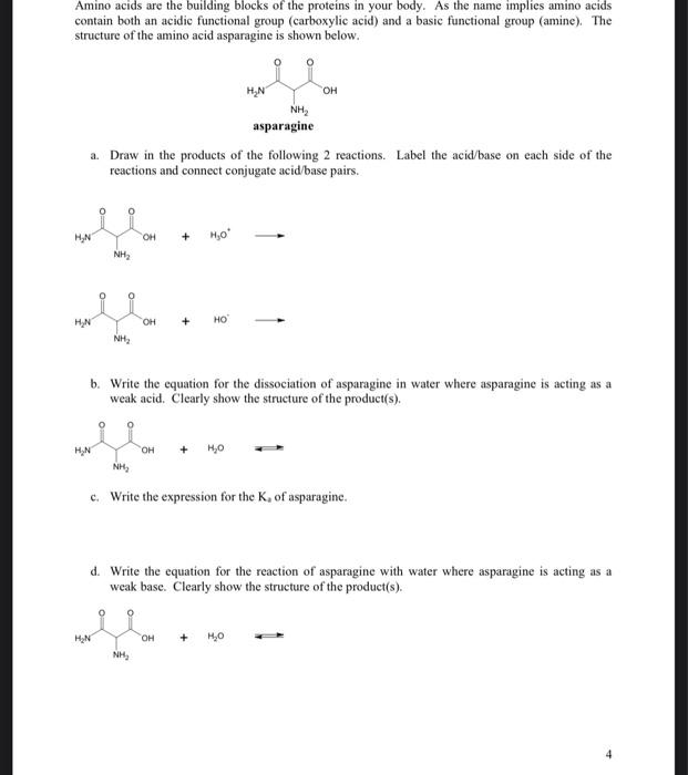 Solved Amino acids are the building blocks of the proteins | Chegg.com