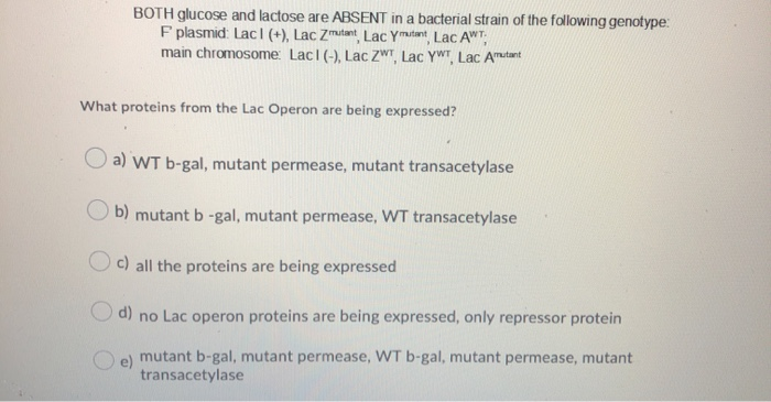 Solved BOTH glucose and lactose are ABSENT in a bacterial | Chegg.com