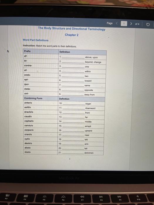 Solved Page Of 4 The Body Structure And Directional Chegg