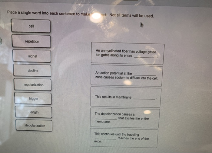 solved-place-a-single-word-into-each-sentence-to-make-ct-chegg