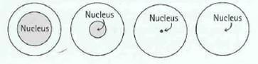 diagrams nucleus represents following relative atom which atomic