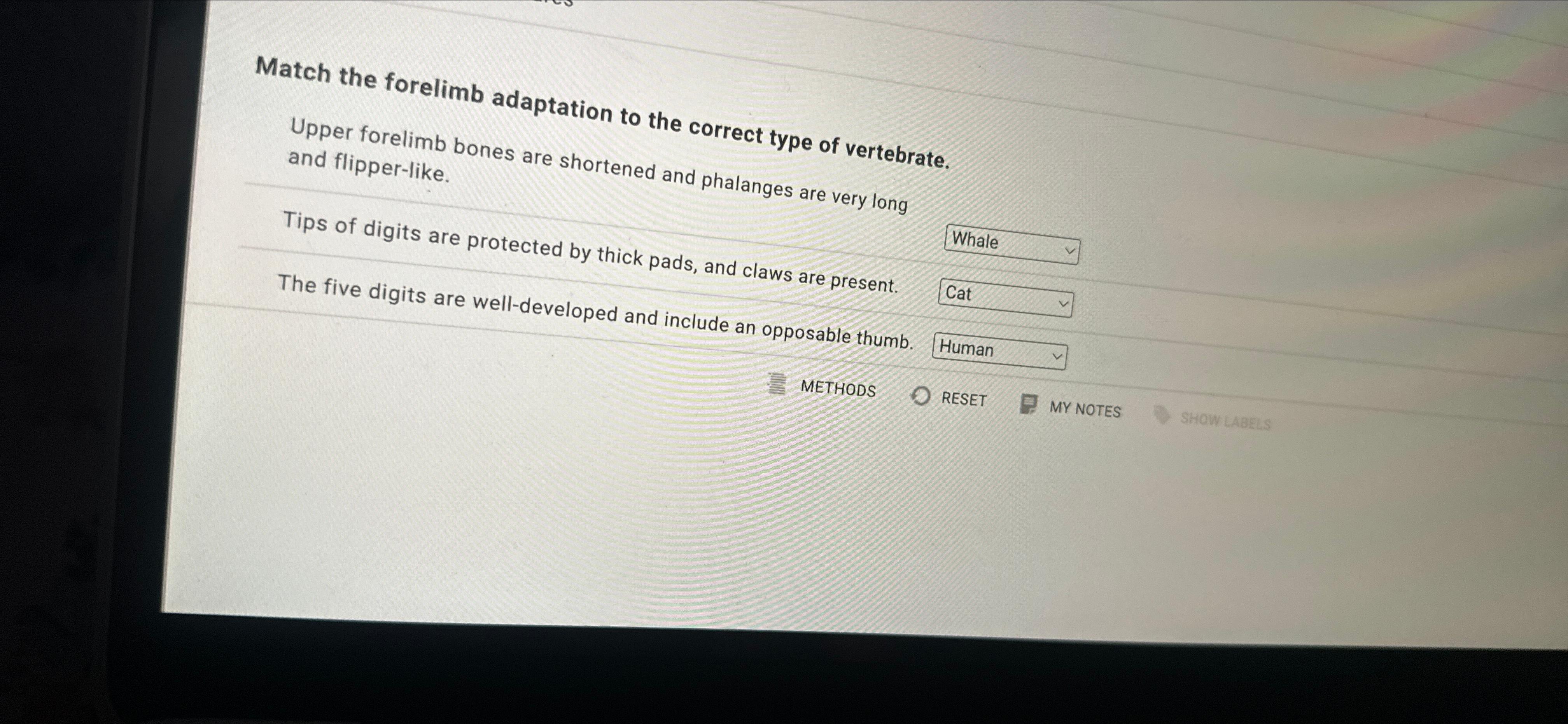 Survival Secrets: Match The Adaptation To The Organism! - xegy42s