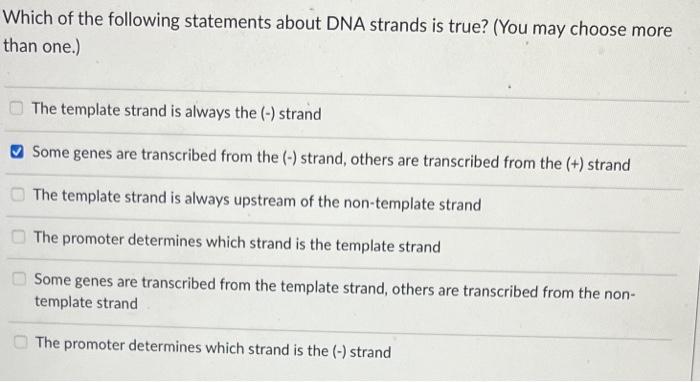 Solved Which of the following statements about DNA strands | Chegg.com