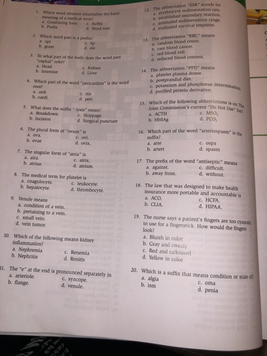 Solved 1 Which Word Element Establishes The Basic Meaning Chegg Com