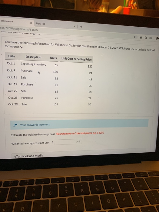 Homework fleetwood mac guitar image