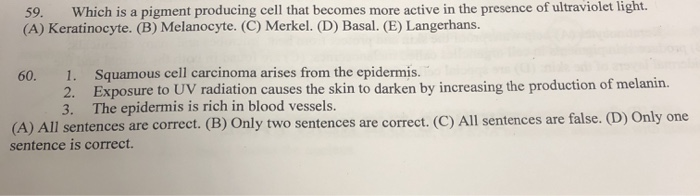 Solved 59. Which is a pigment producing cell that becomes | Chegg.com