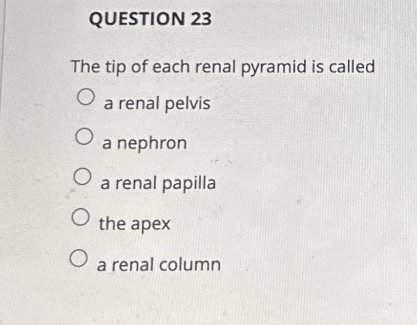 Solved QUESTION 23The tip of each renal pyramid is calleda | Chegg.com