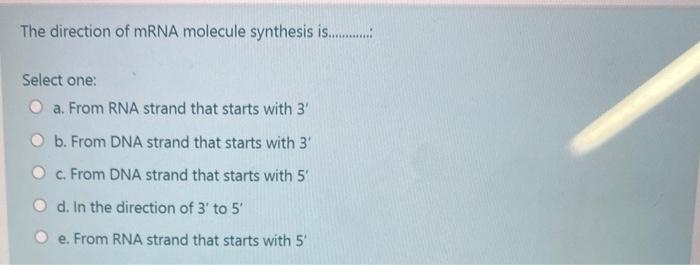 Solved The direction of mRNA molecule synthesis is......... | Chegg.com