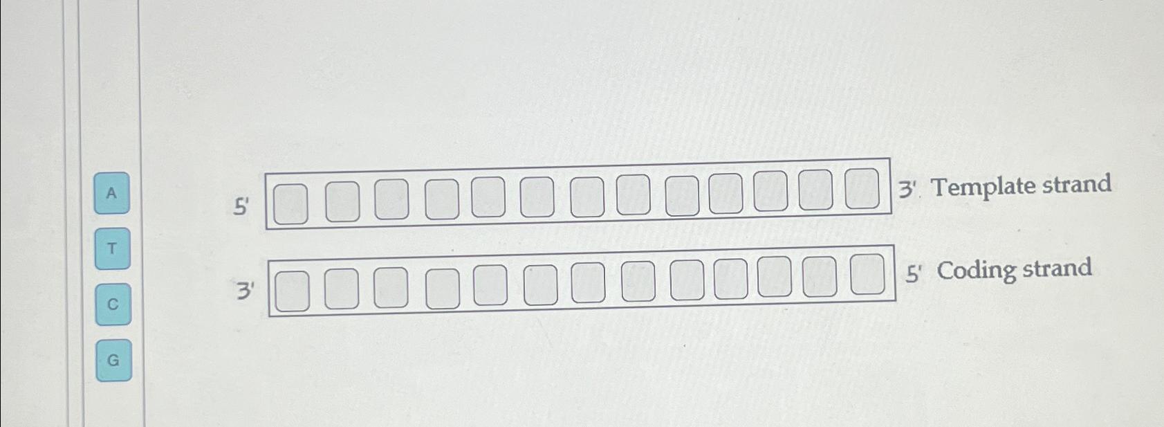Solved A5' 3'. ﻿Template strandTC3'5' ﻿Coding | Chegg.com