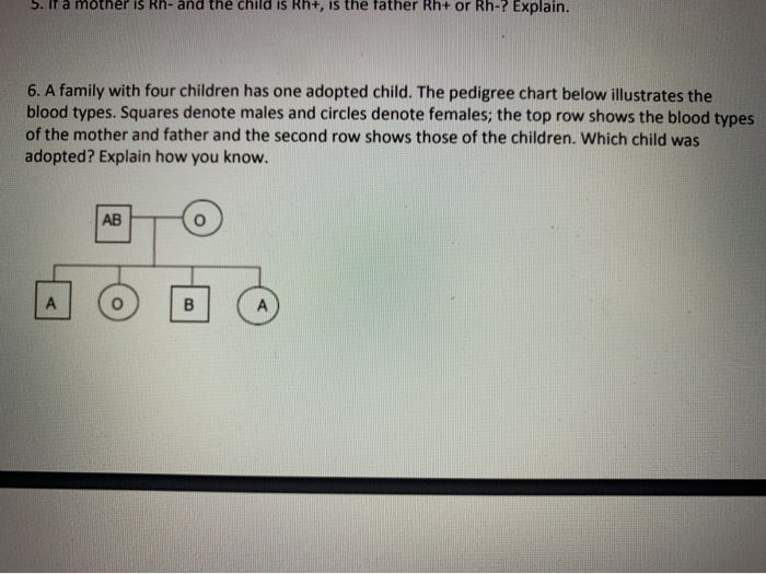 Solved The Genetics Of The Abo Blood Group Background Blood Chegg Com