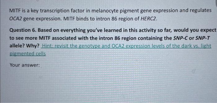 MITF is a key transcription factor in melanocyte | Chegg.com