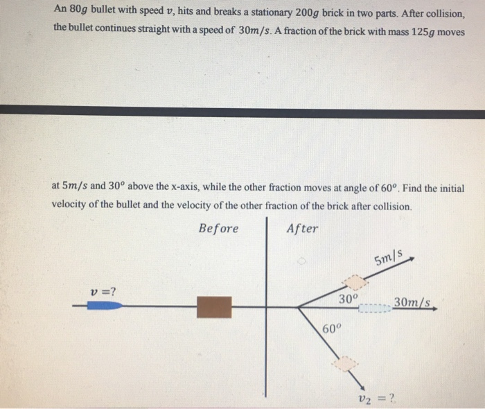 Magic Bullet Parts Diagram Bruin Blog