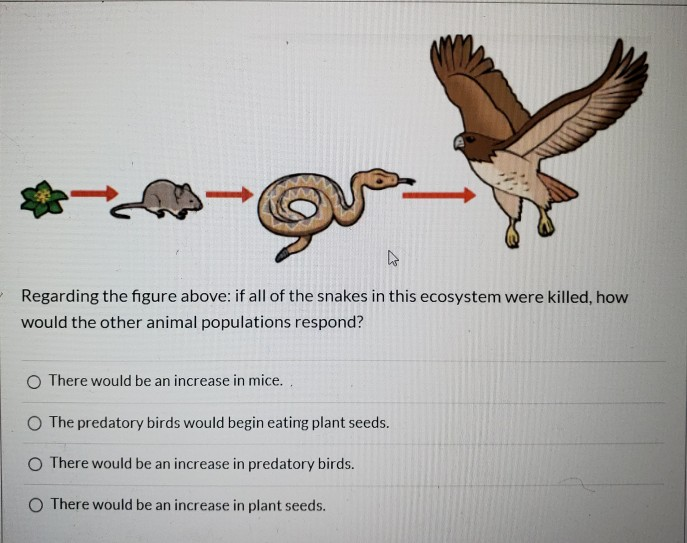 Solved Regarding the figure above: if all of the snakes in | Chegg.com