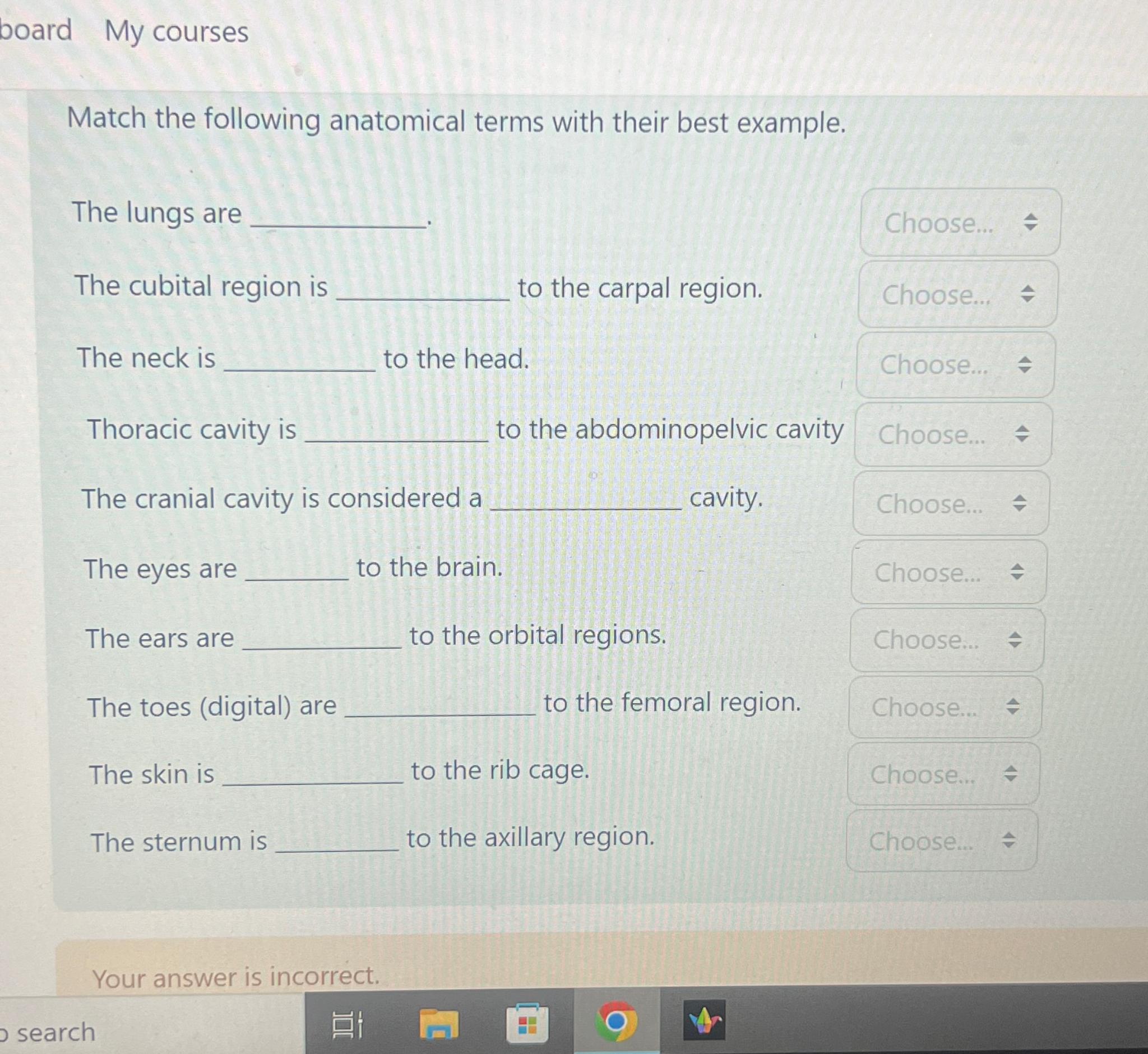 Solved boardMy coursesMatch the following anatomical terms | Chegg.com