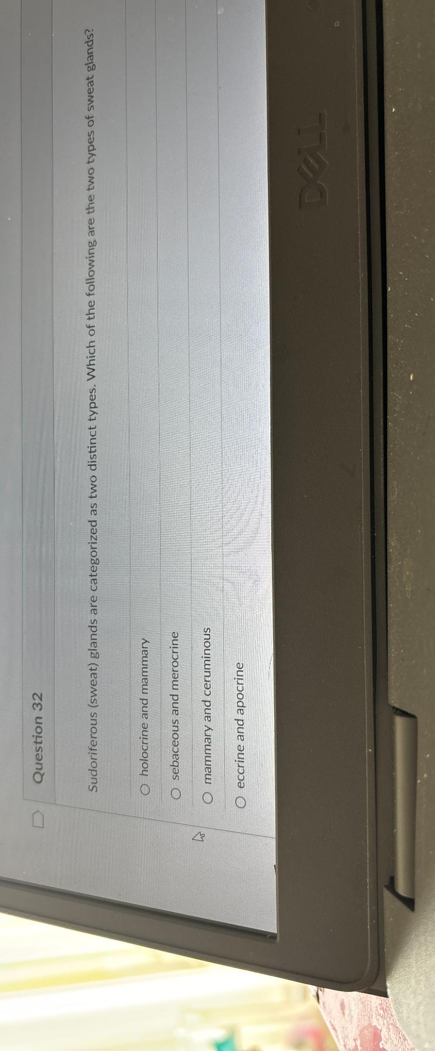 Solved Question 32Sudoriferous (sweat) ﻿glands are | Chegg.com