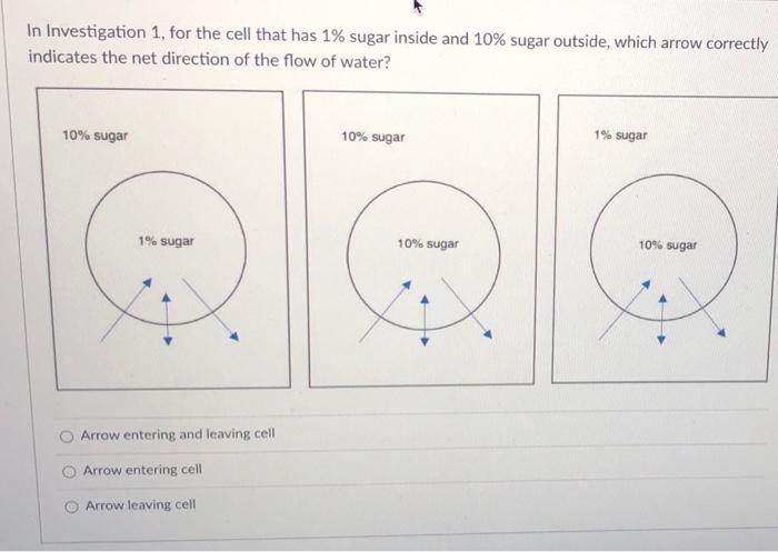 Solved In Investigation 1, For The Cell That Has 1% Sugar | Chegg.com