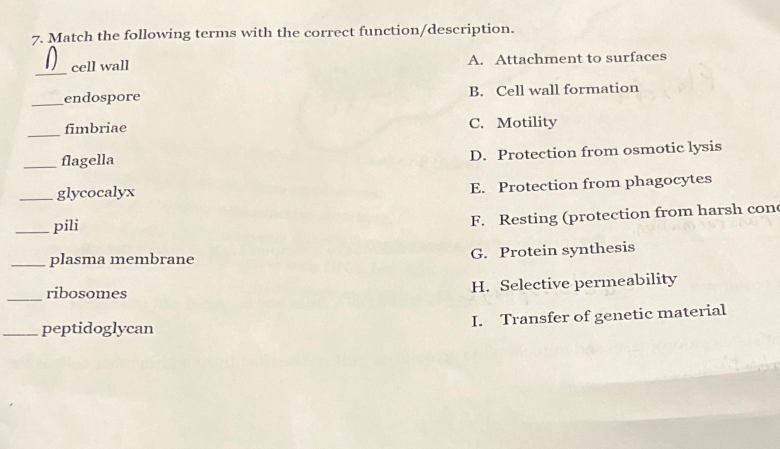 Solved Match the following terms with the correct | Chegg.com
