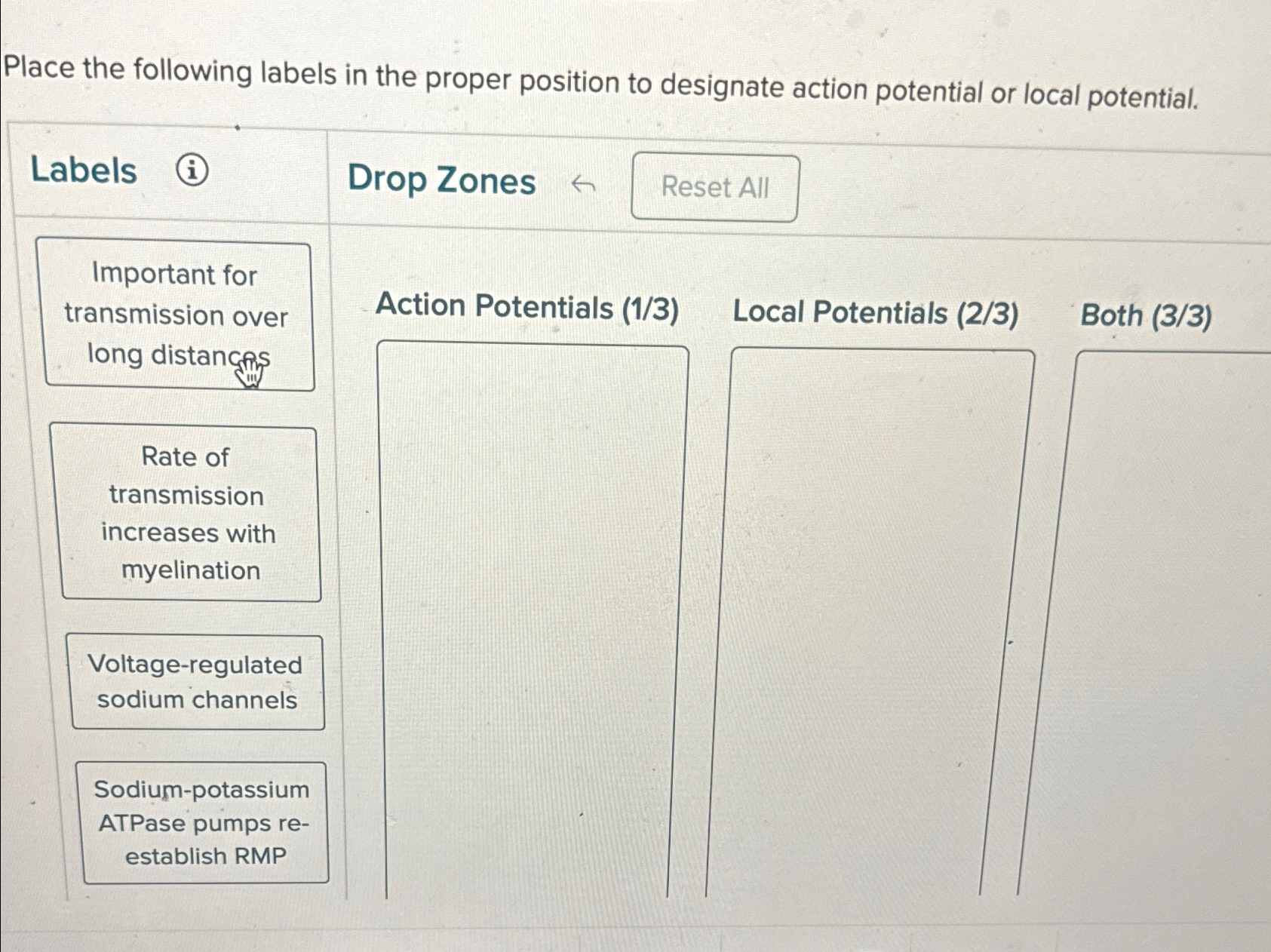 Solved Place the following labels in the proper position to | Chegg.com