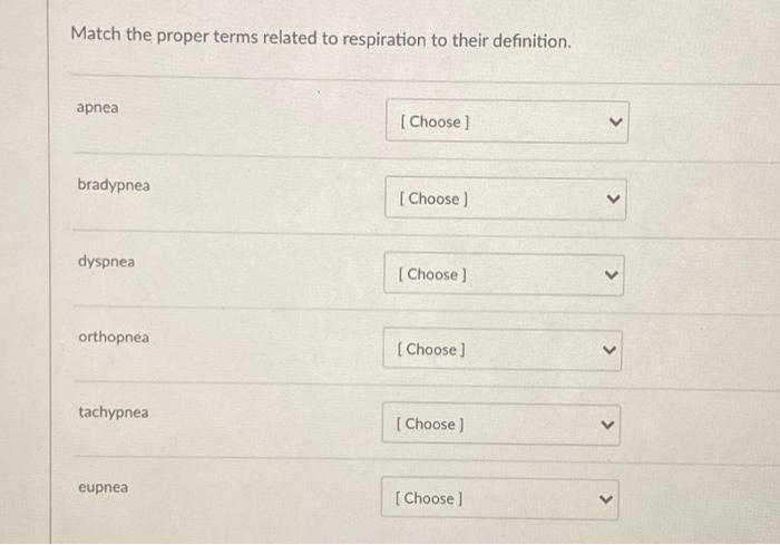 Match The Proper Terms Related To Respiration To Chegg Com