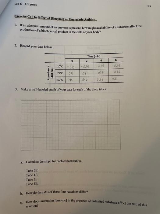 Solved Lab 6 - Enzymes 91 Exercise C: The Effect of | Chegg.com