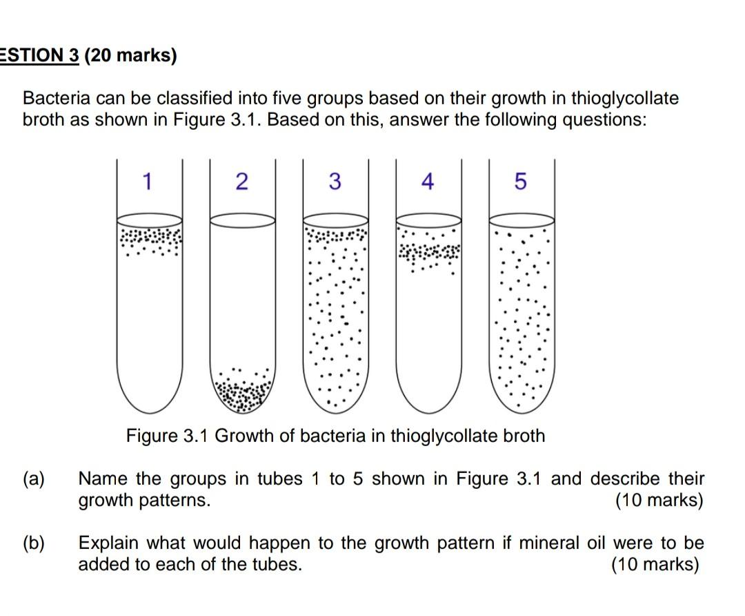 Thioglycollate Broth Composition, Principle, Preparation,, 48 OFF