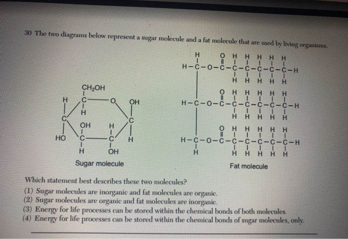 Solved 30 The two diagrams below represent a sugar molecule | Chegg.com