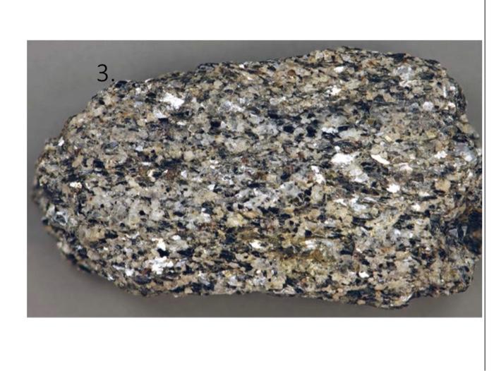 Solved Table 1. Rock compositions, metamorphic rock names | Chegg.com
