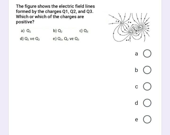 Solved The figure shows the electric field lines formed by | Chegg.com